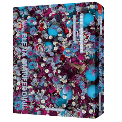 埃琳娜·曼费迪尼作品解析