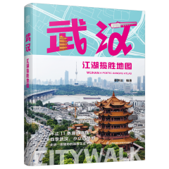 武汉江湖揽胜地图