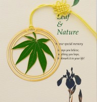 LC-13田园之枫叶浅绿