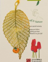 LC-31田园之金叶黄瓢虫