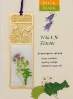 BM-WF16花草之蒲公英