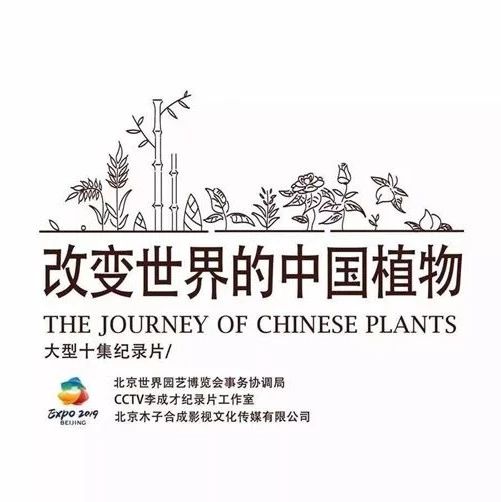 纪录片《改变世界的中国植物》杀青，带你感知人类文明长河中植物的力量