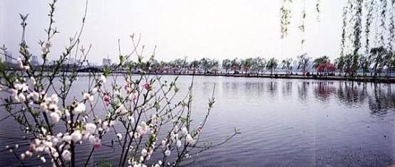 古代杭州两位市长成就了西湖海绵体！